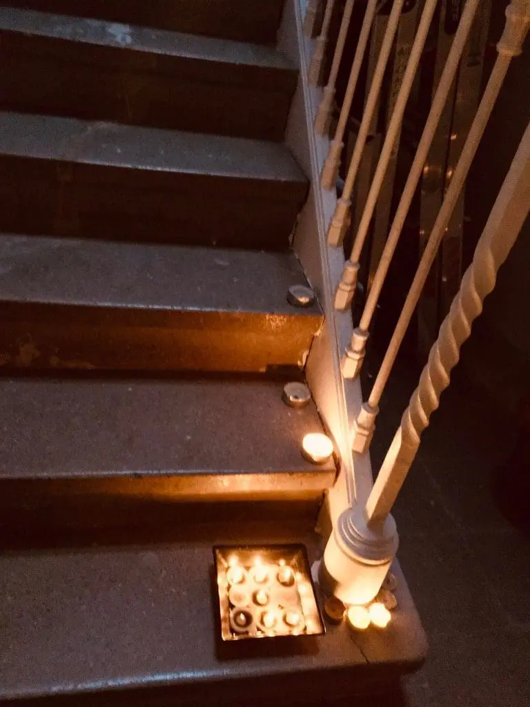 308763030_5604969792902587_2063676357892742963_n