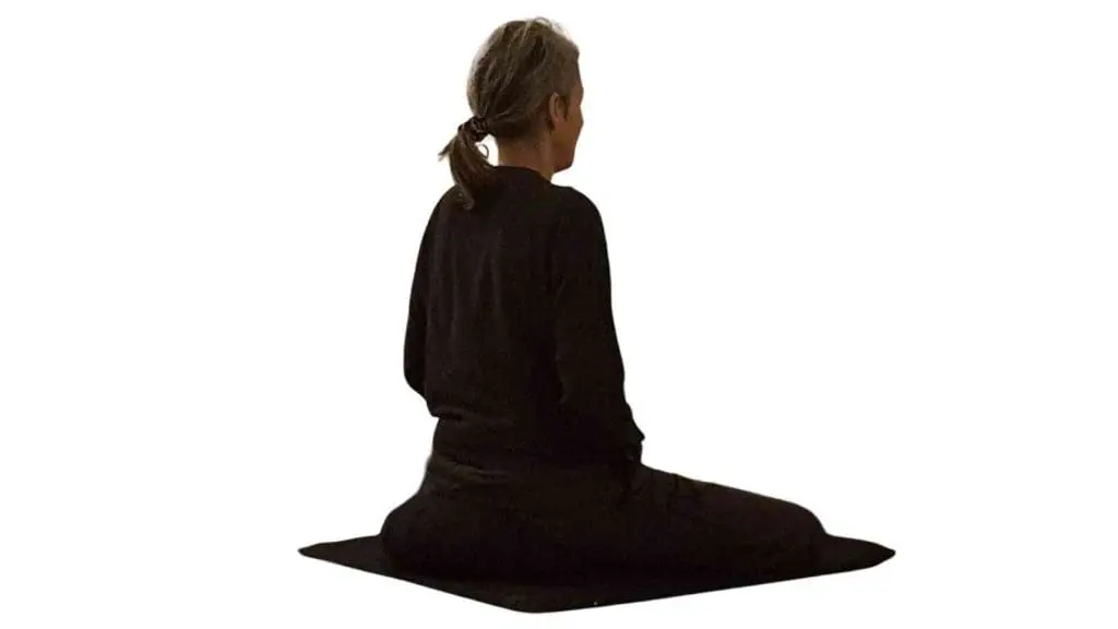 zazen retiro retir retreat zen