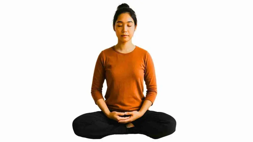 introducció introduccio gratuita gratuïta meditació meditacio zen meditación meditacion meditation zazen