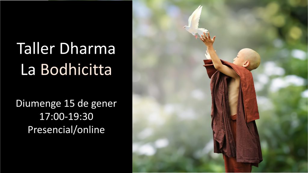 Dojo Zen | Budismo Zen en Barcelona | 2023/01/15 Inicio Curso Dharma. Domingo 15 de enero