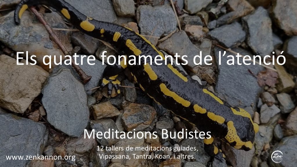 Dojo Zen | Budismo Zen en Barcelona | 2023/05/20 Taller Meditacions Budistes. Els 4 Fonaments. Dissabte 20 maig