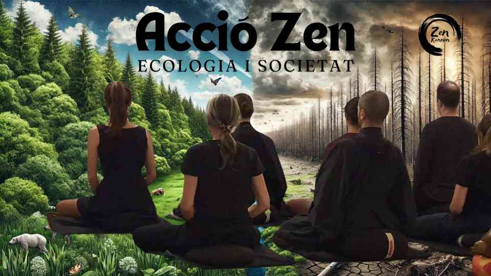 accio zen